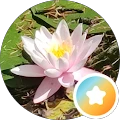 Aline Barral Avatar